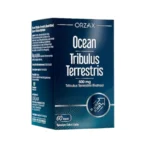 أوشن تريبولوس تيريستريس